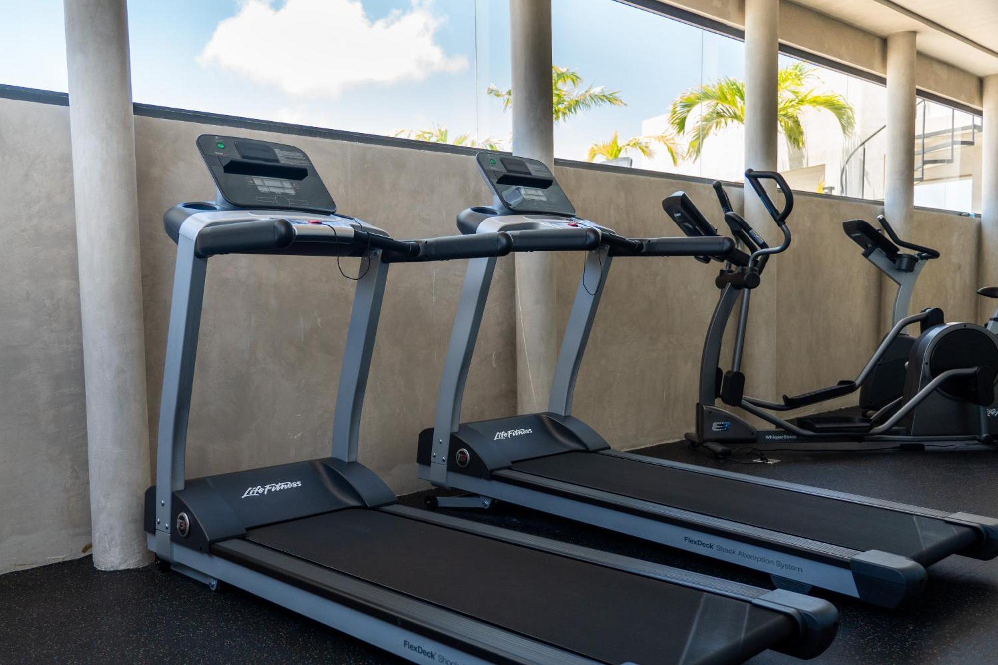 Fancy 3 Bedroom Apartments In Downtown Playa Rooftop Pool Gym Playa del Carmen Ngoại thất bức ảnh